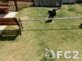 動画:ジャンプ