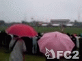 動画:サッカーの試合の応援団